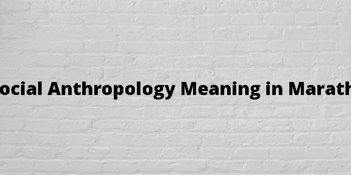 social anthropology