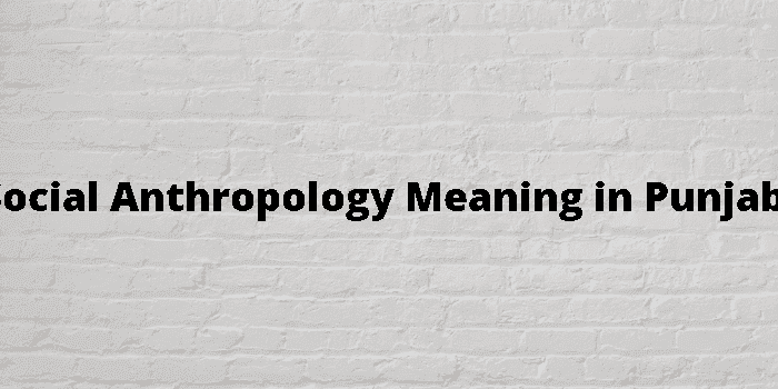 social anthropology