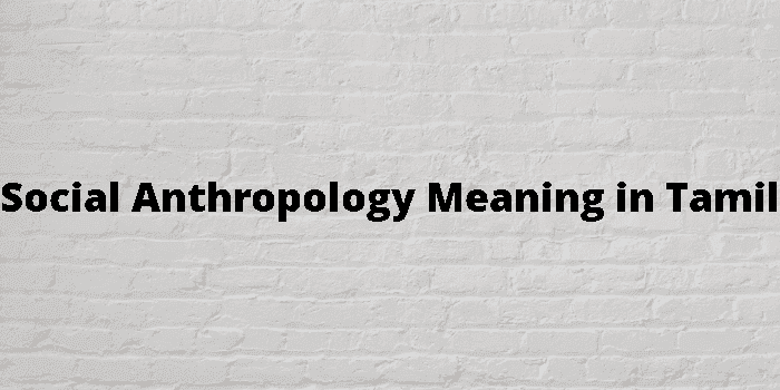 social anthropology