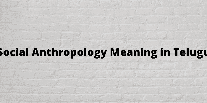 social anthropology