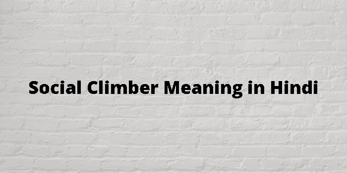 social climber