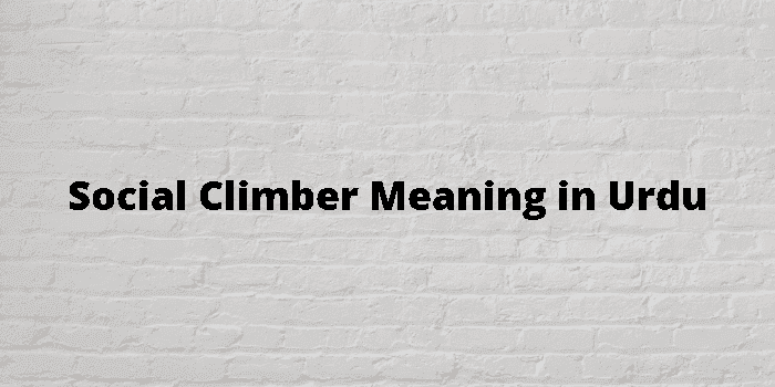 social climber