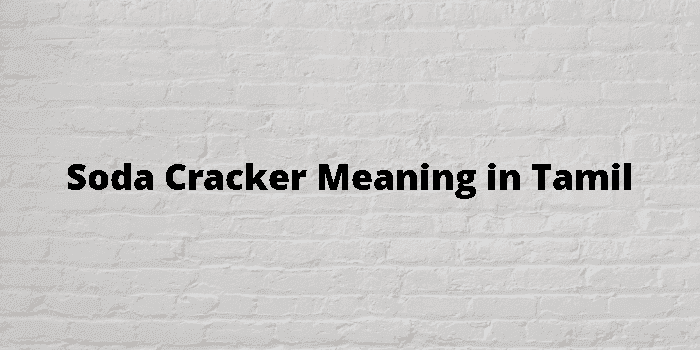 soda cracker