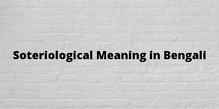 soteriological