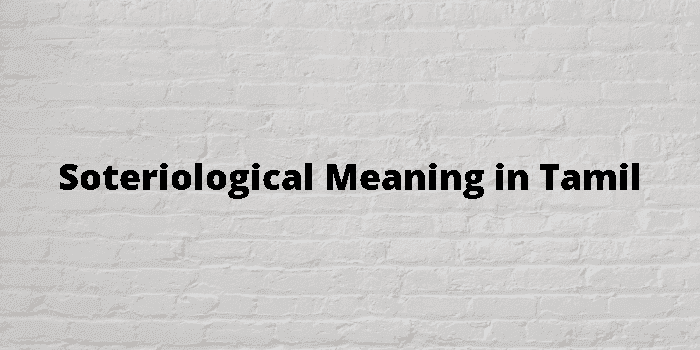 soteriological