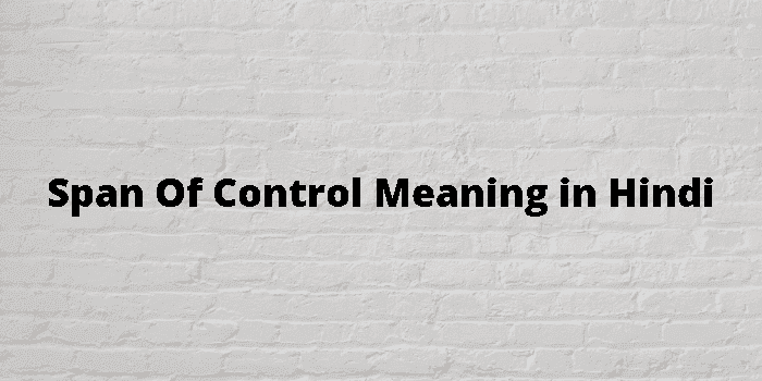 span of control