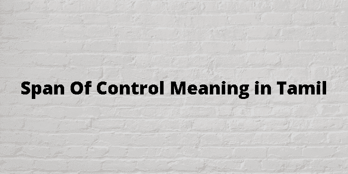 span of control