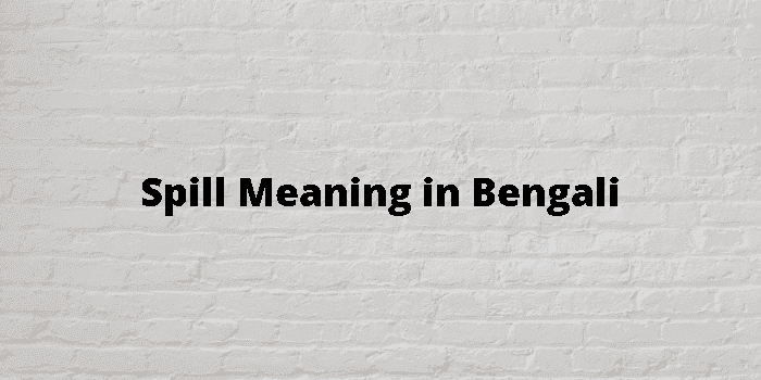 English to Bangla Meaning of spill - ঝরা