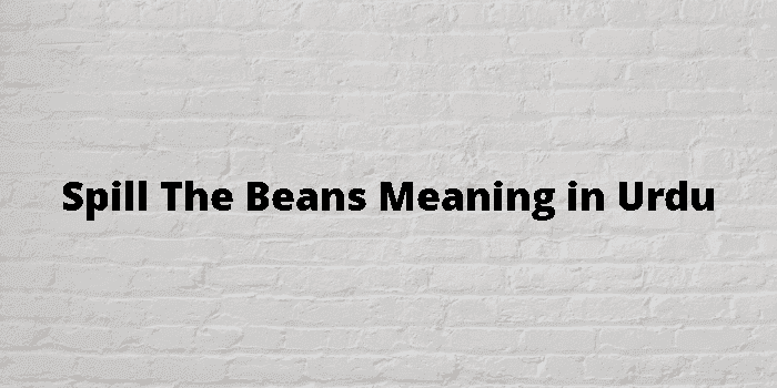 Spill The Beans Meaning
