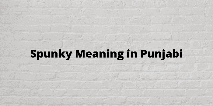 spunky