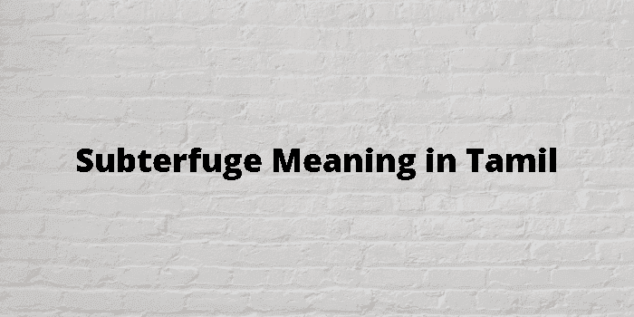 subterfuge