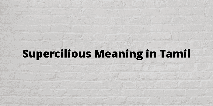 supercilious