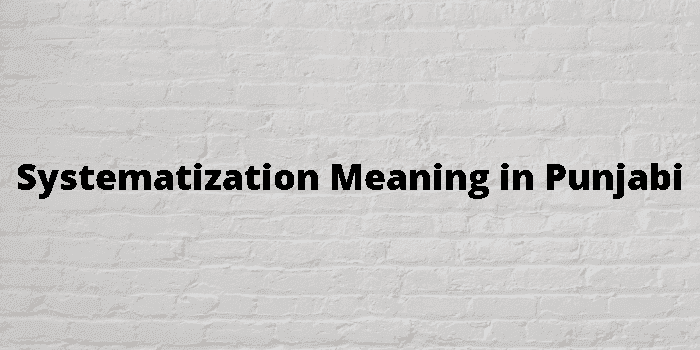 systematization