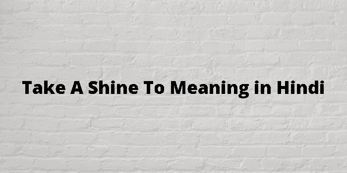 take a shine to