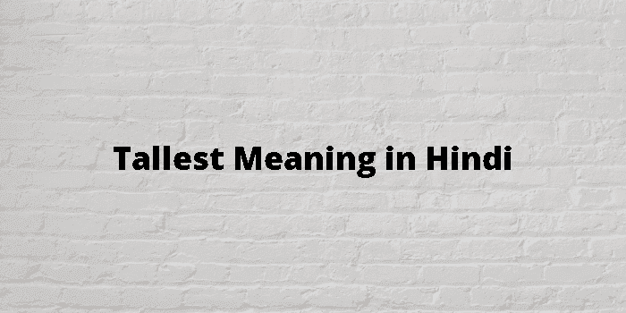 tallest-meaning-in-hindi