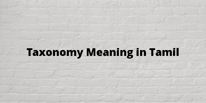 taxonomy