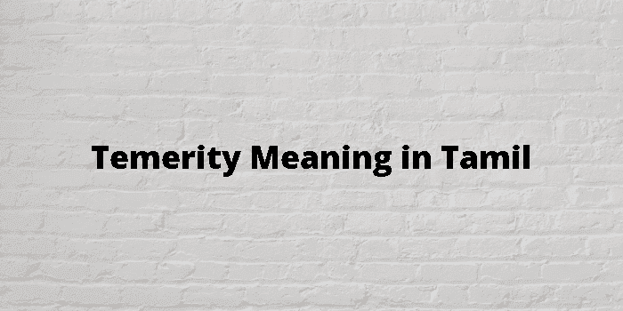 temerity