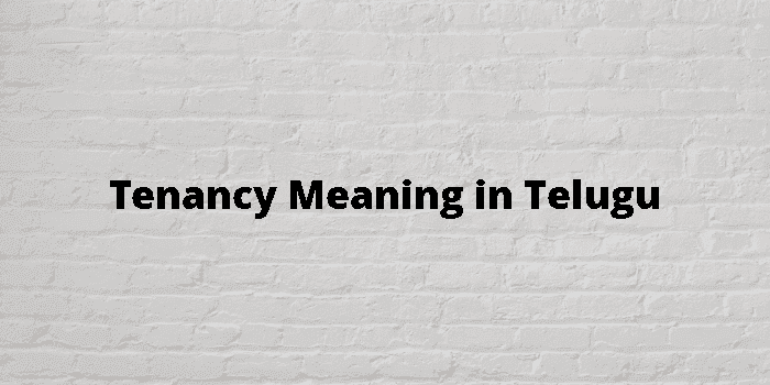 tenancy