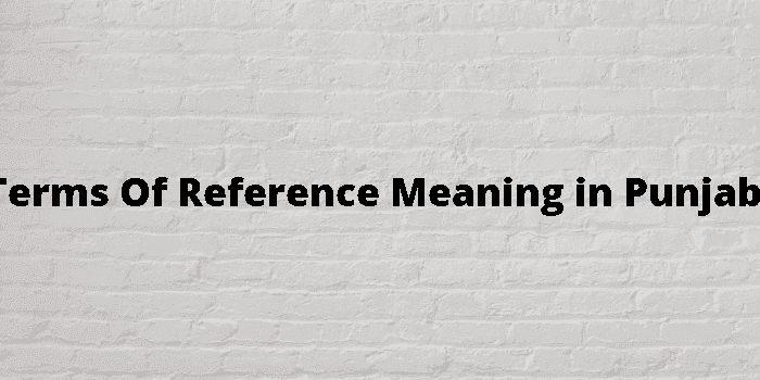 terms of reference