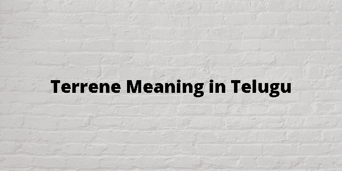 terrene