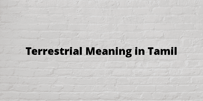 terrestrial