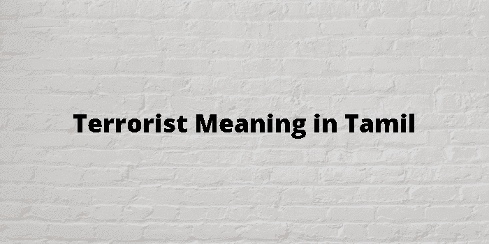 terrorist