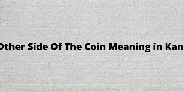 the other side of the coin