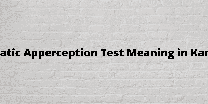 thematic apperception test