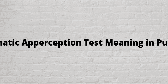 thematic apperception test