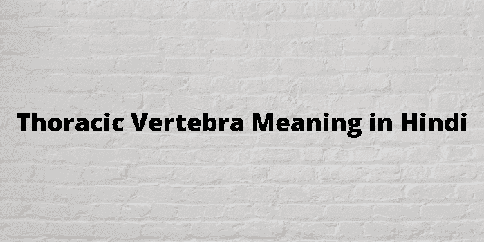 Thoracic Vertebra Meaning In Hindi - हिंदी अर्थ