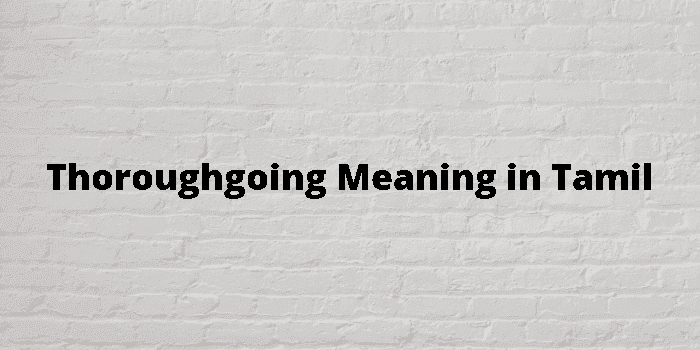 thoroughgoing