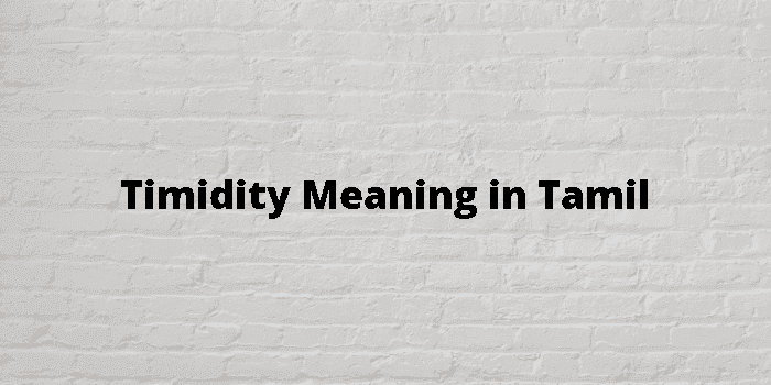 timidity