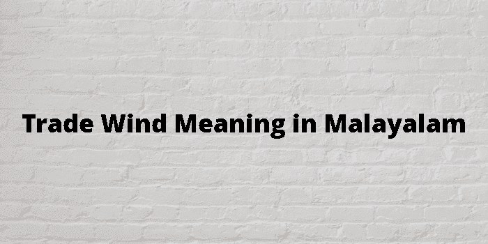 trade-wind-meaning-in-malayalam