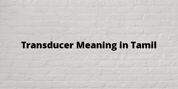 transducer