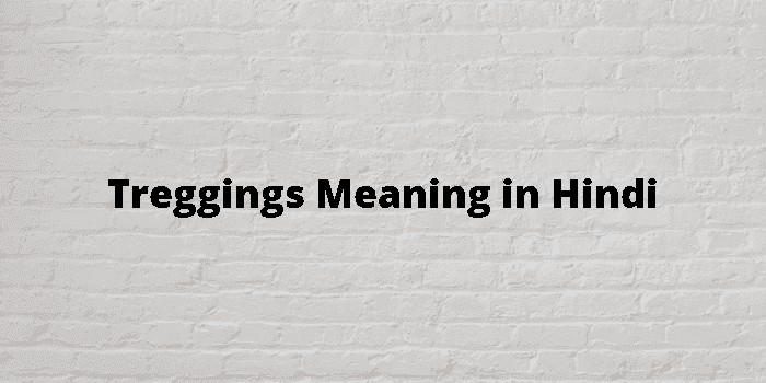 Treggings Meaning In Hindi - हिंदी अर्थ