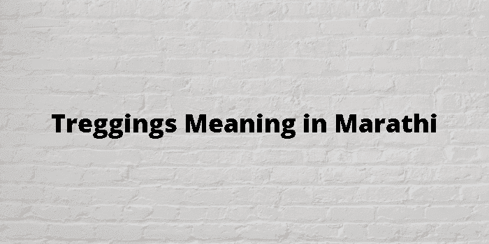 Treggings Meaning In Marathi - मराठी अर्थ