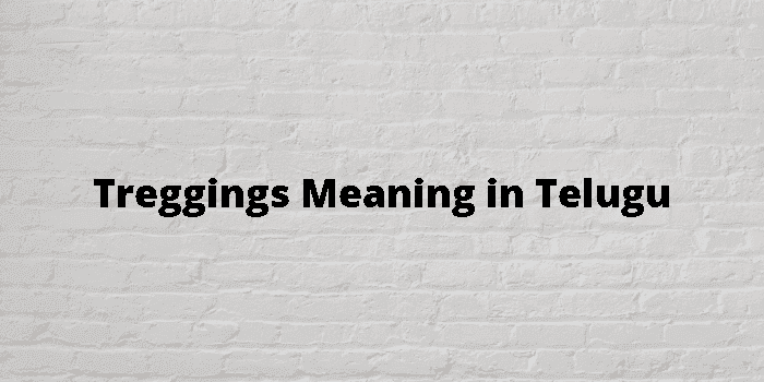 Treggings Meaning In Telugu - తెలుగు అర్థం