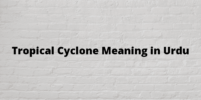 tropical cyclone