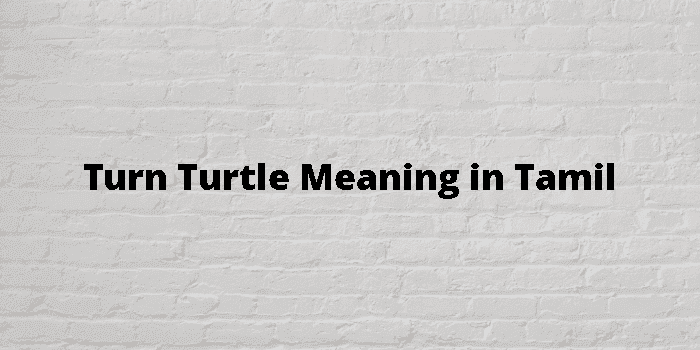 turn turtle