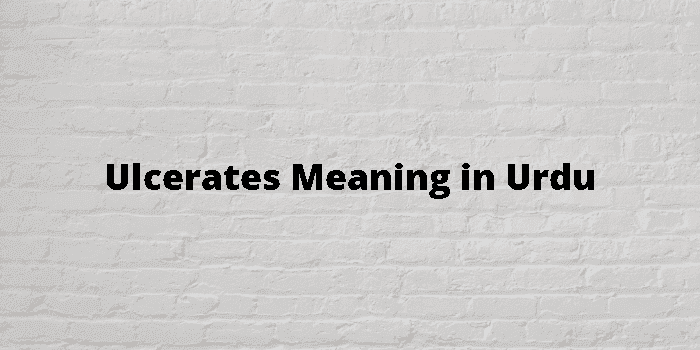 ulcerates