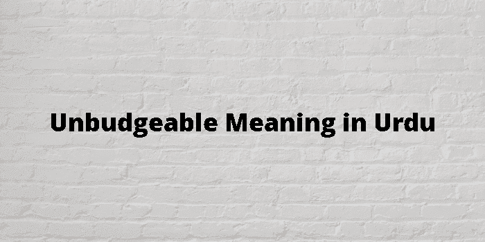 unbudgeable