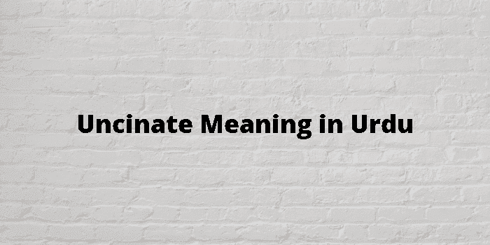 uncinate