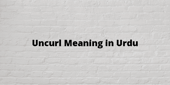 uncurl