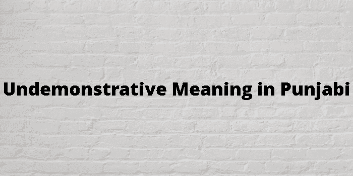 undemonstrative