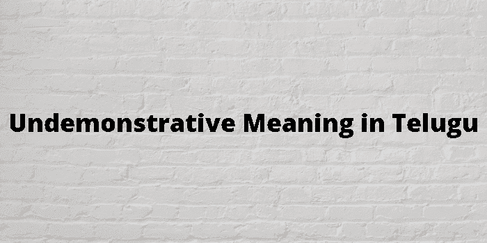 undemonstrative