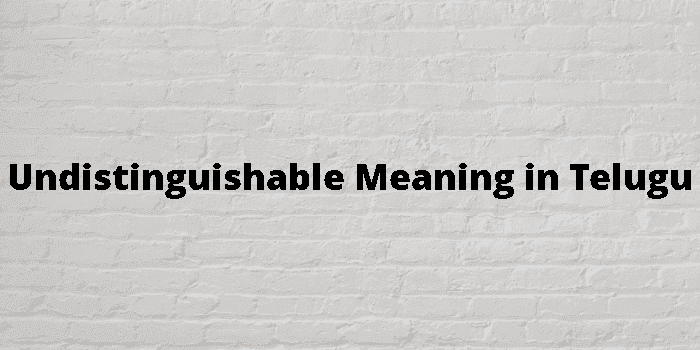 undistinguishable