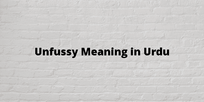 unfussy