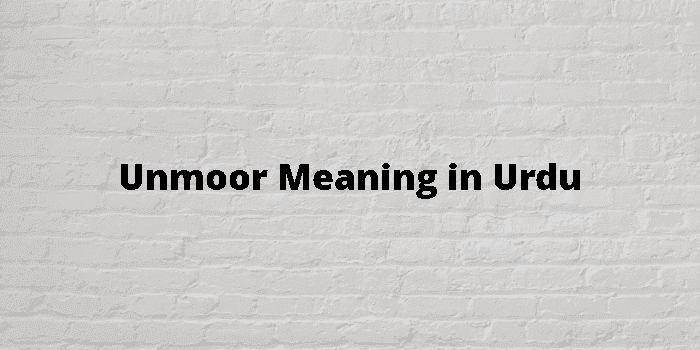 unmoor