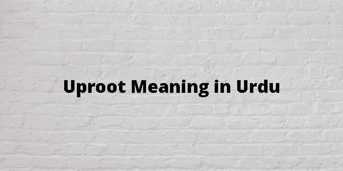 uproot