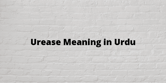 urease